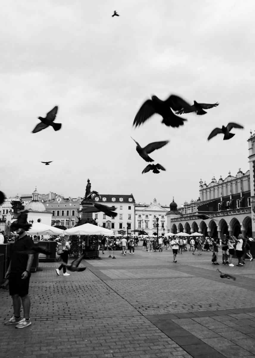Krakow Market